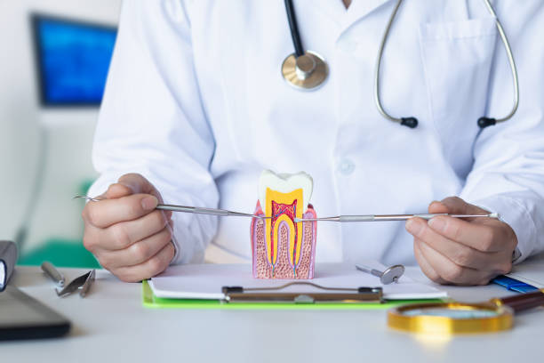 Best Dentist for Tooth Abscess  in Kent Acres, DE